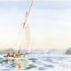 Classic sailing (Pittwater)